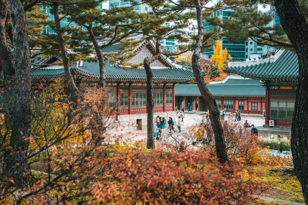 한국 전통 궁궐
